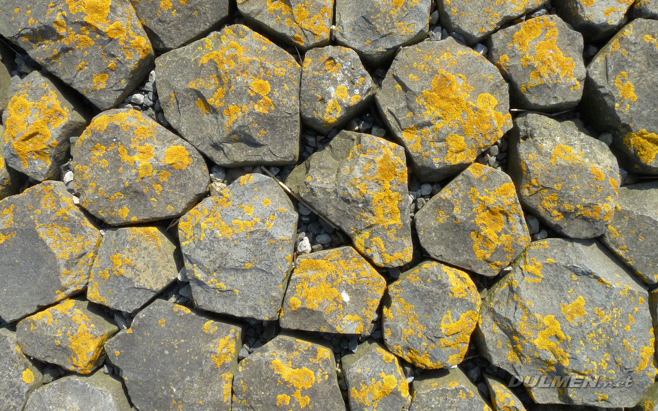 Basalt stones at the coast (IJselmeerdijk)